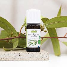 huile d'eucalyptus 30ml